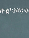 A BATHING APE® record logo long sleeve sweatshirt